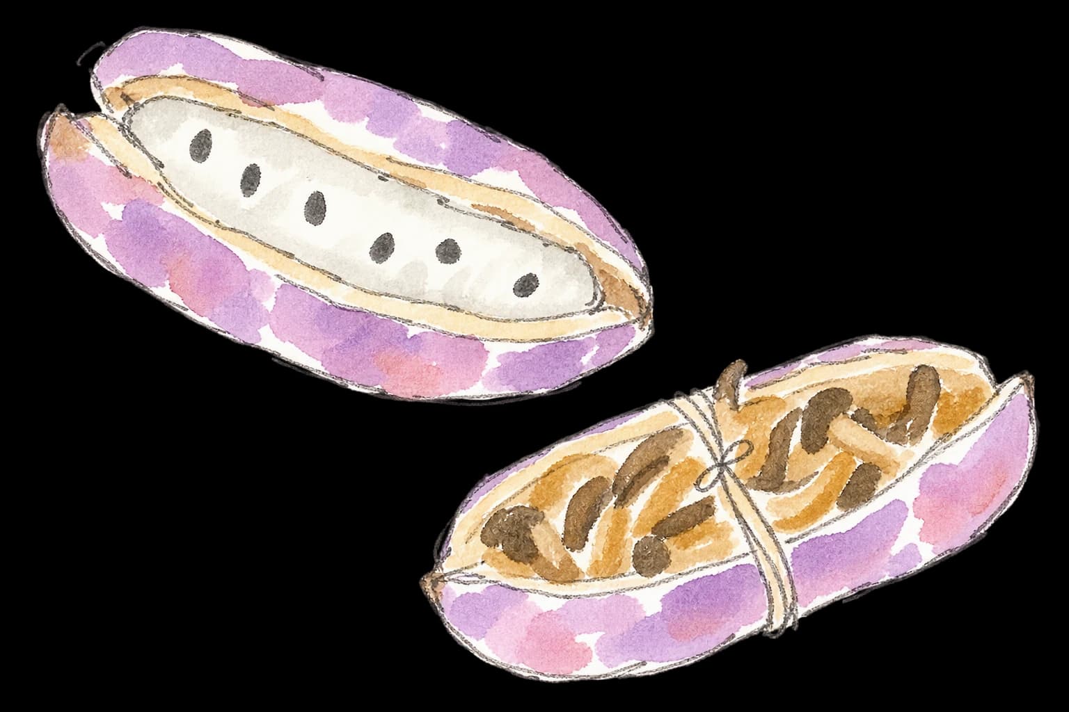 白い果肉のあるあけびと、皮にきのこを詰めたあけびのラフな水彩イラスト